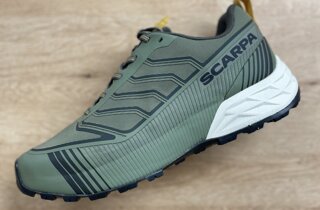 img_2508.jpeg img_2508.jpeg