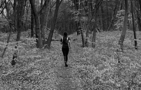 trail 2.jpeg trail 2.jpeg