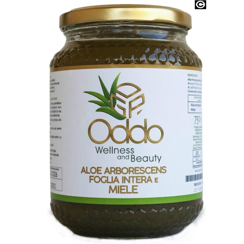 Frullato di Padre Romano Zago