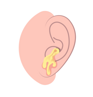 icona_otite icona_otite