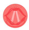 icona_corde vocali