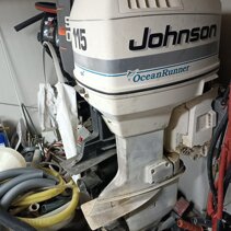 Johnson 115 CV