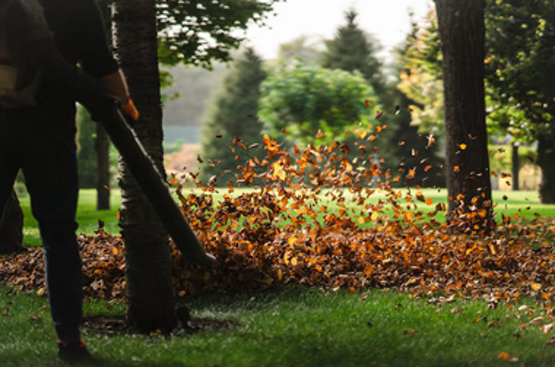 screenshot 2025-05-01 103304