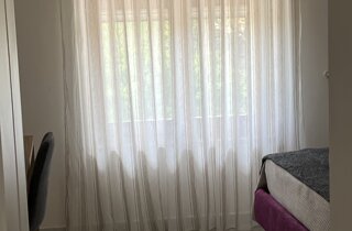 img_8511.jpeg img_8511.jpeg