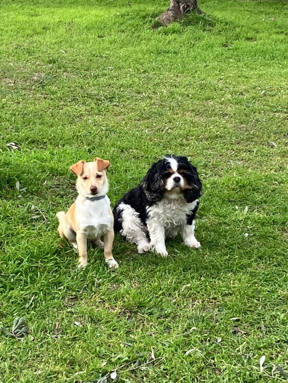 11d1f0ee-0d58-4867-8b35-d1f6ae53d796.jpeg 11d1f0ee-0d58-4867-8b35-d1f6ae53d796.jpeg