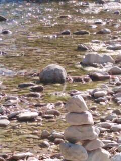 img_20200729_165204.jpeg