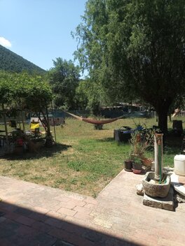 amaca .jpeg