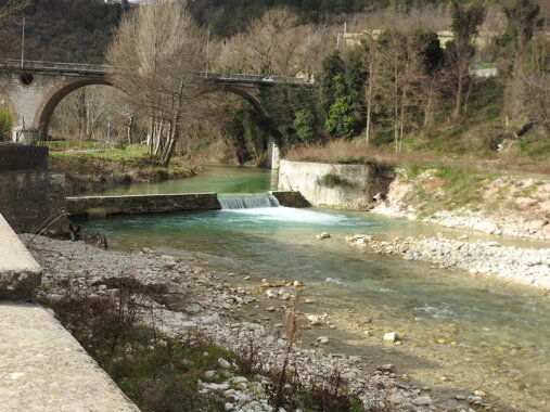 dscn0638.jpeg