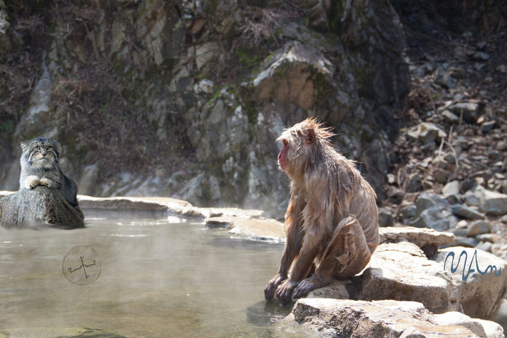 496cd88849ea69ef84bff5726d5400868e67fb87