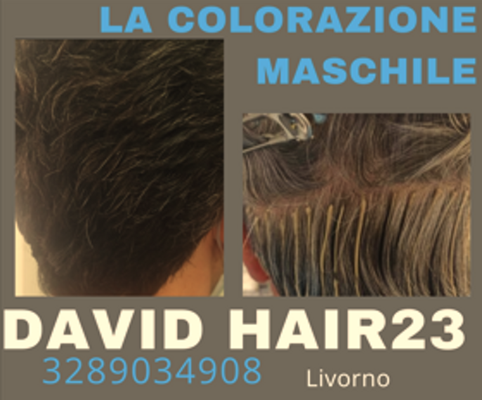 immagine 2026-01-06 234208
