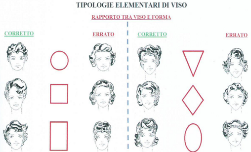 morfologia del viso 3 morfologia del viso 3