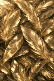 chatgpt image apr 7, 2026, 07_29_44 pm chatgpt image apr 7, 2026, 07_29_44 pm