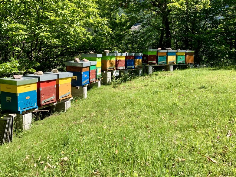 img_5373.jpeg img_5373.jpeg