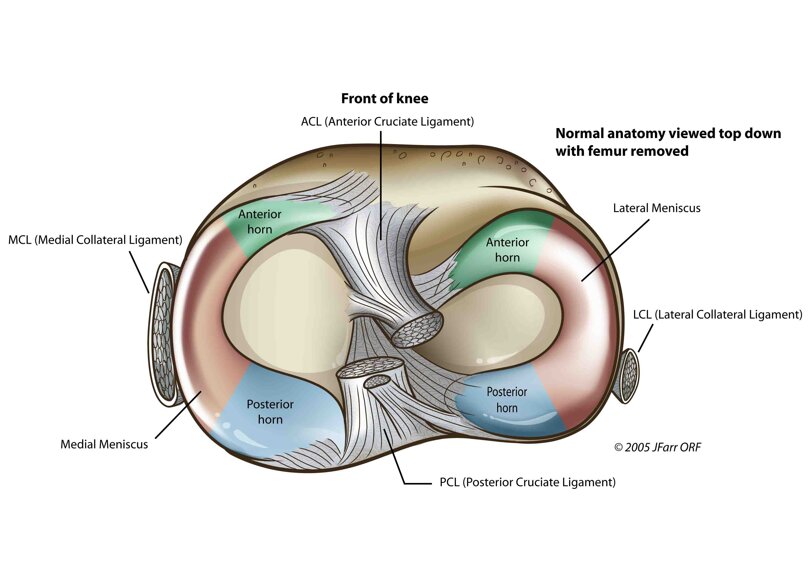 879e516250875b12c8ce6ffe8358b8cacf6d84f9.jpeg 879e516250875b12c8ce6ffe8358b8cacf6d84f9.jpeg