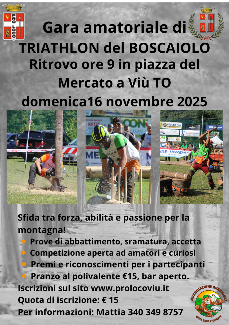 triathlon 2025 (1200 x 1697 px)