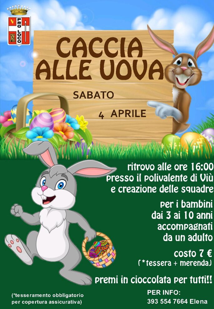 whatsapp image 2026-04-01 at 20.08.02.jpeg