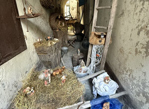 bertesseno.jpeg bertesseno.jpeg