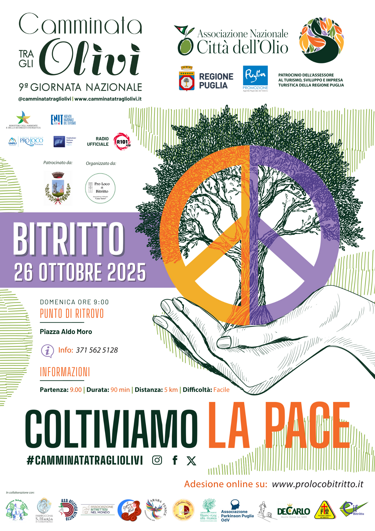 camminata tra gli ulivi bitritto