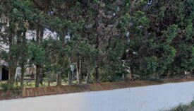 via del rosmarino.jpeg