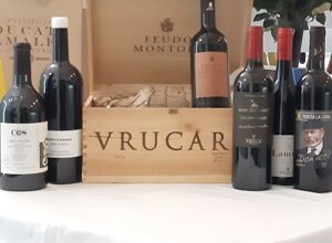 20211231_121443.jpeg 20211231_121443.jpeg