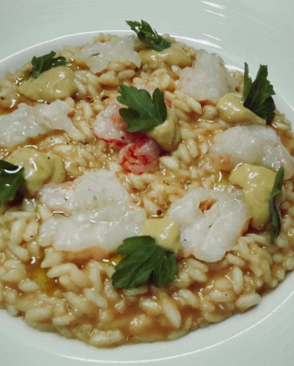 img_20260223_161842.jpeg img_20260223_161842.jpeg