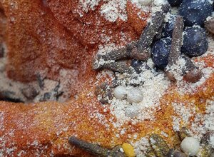 20200922_223828.jpeg 20200922_223828.jpeg