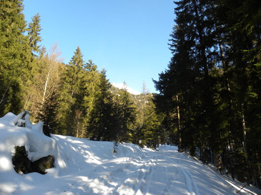 dscn2418.jpeg dscn2418.jpeg