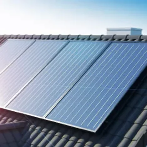 transparent-photoroom transparent-photoroom