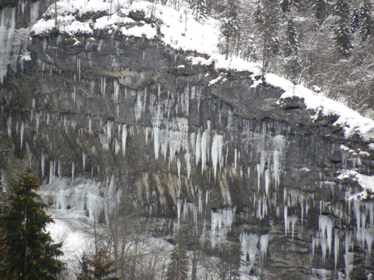 dscn2428.jpeg dscn2428.jpeg