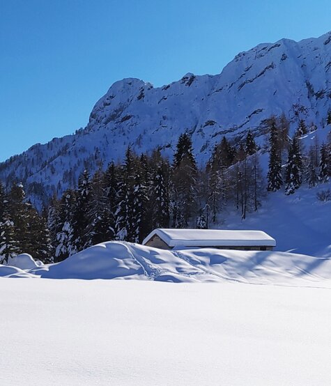 img_20201213_115228.jpeg img_20201213_115228.jpeg