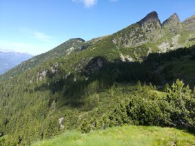 img_20190624_103126.jpeg