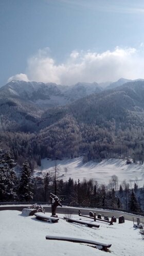 20180227_112838.jpeg 20180227_112838.jpeg