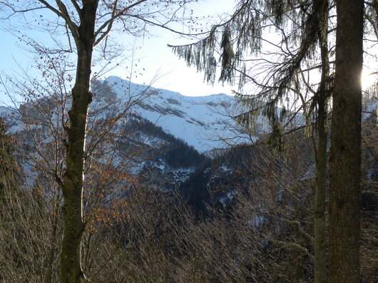 dscn2408.jpeg dscn2408.jpeg