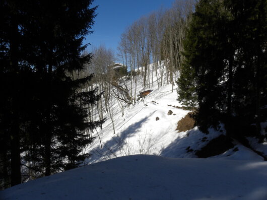 dscn2409.jpeg dscn2409.jpeg