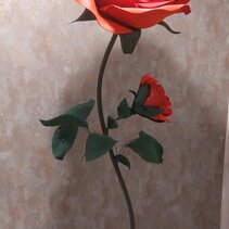 rosa fiori foam foammy