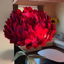 peonia fiori foam foammy