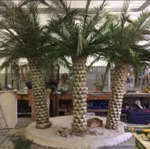 Palme mock up realistiche