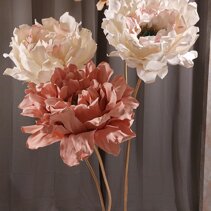 peonia fiori carta