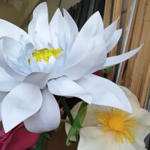 fiori foam foammy
