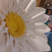margherita fiori foam foammy