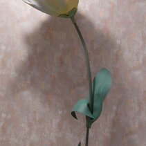 fiori foam