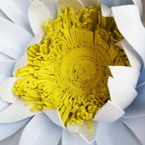 fiori giganti in foam