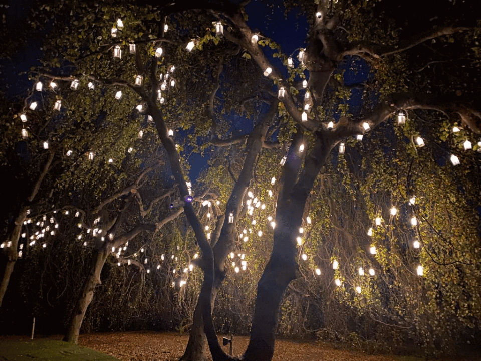 allestimenti giochi di luce luminosi