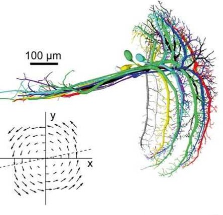3194ef005a1b7e6c073f3cece08b31ed87ac0b15 3194ef005a1b7e6c073f3cece08b31ed87ac0b15