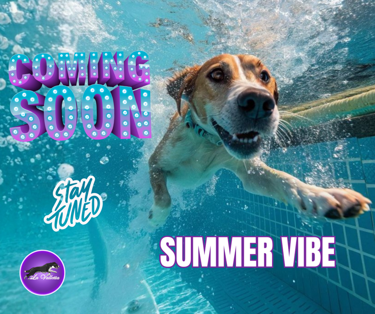 scritta summer vibe con immagine (post di facebook)
