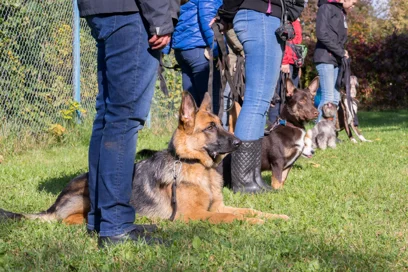 adobestock_175832260-scaled.jpeg