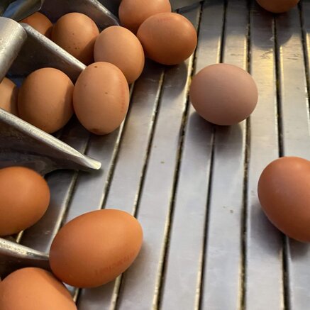 9a2a8be143451f4e4276de23396b4f305d6491cc 9a2a8be143451f4e4276de23396b4f305d6491cc