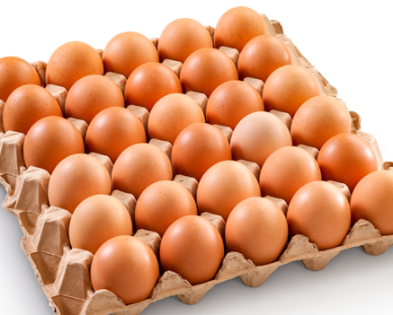 c4b2c31b76032ba7ebc5ffe871387af22a740902 c4b2c31b76032ba7ebc5ffe871387af22a740902