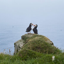 4ce91462a8daac440a01beca5bb5dcff3199f95f