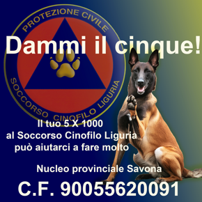savona-5x1000